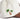 Paradise LA Corduroy Hat - Cream/Brown