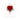 Burn Love Tee - White